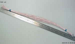 ЦКС.554.45.183-10